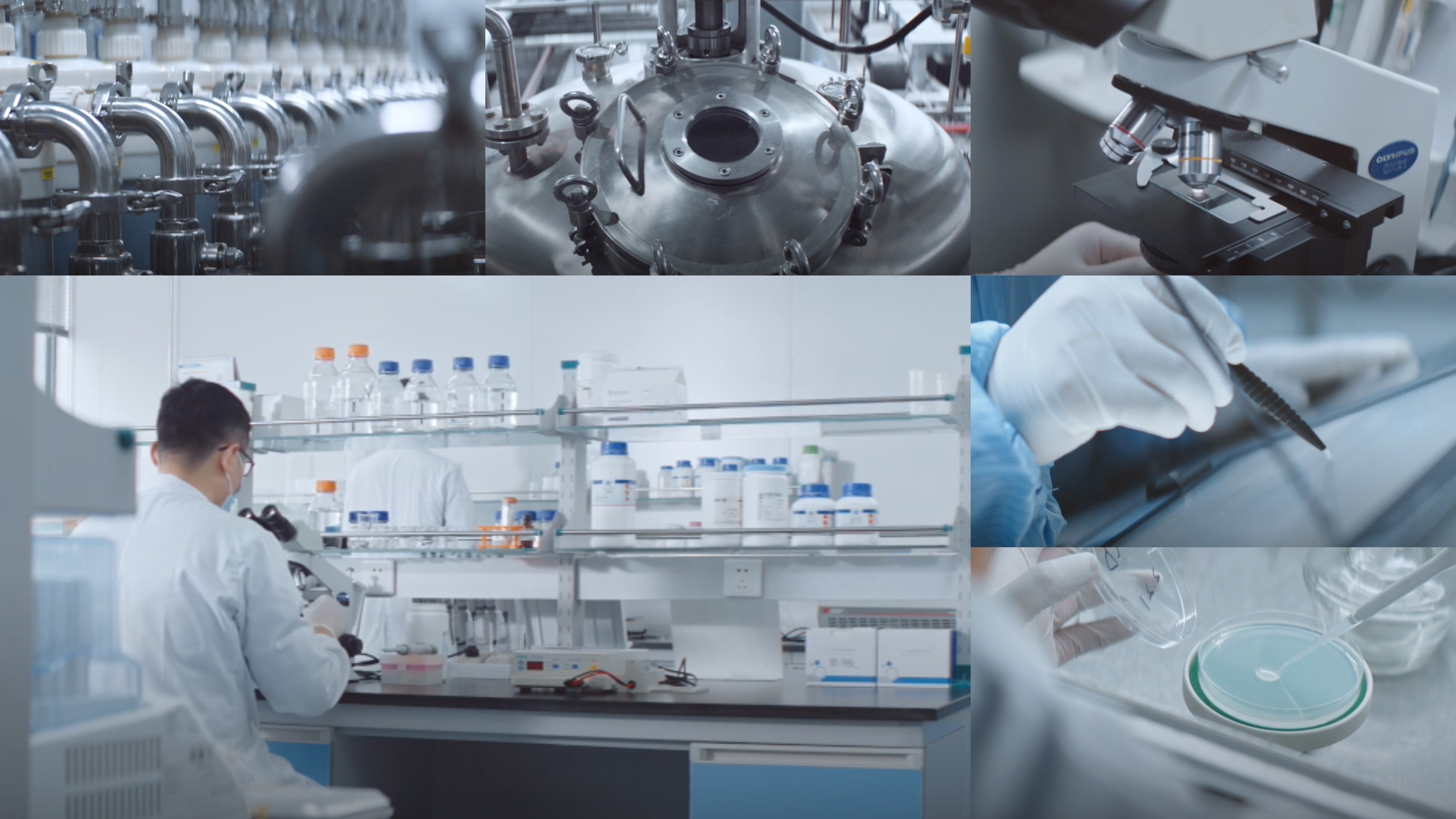 yl23411永利医疗重组XVII型胶原荣获个人护理品行业荣格技术创新奖