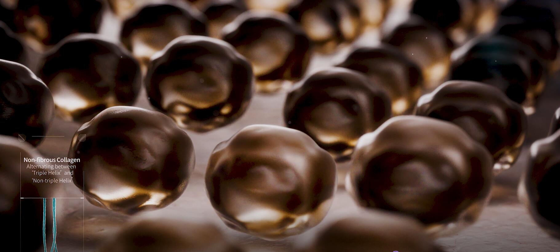 新闻 | yl23411永利医疗重组XVII型胶原功效探索，助力头皮“年轻态”新选择